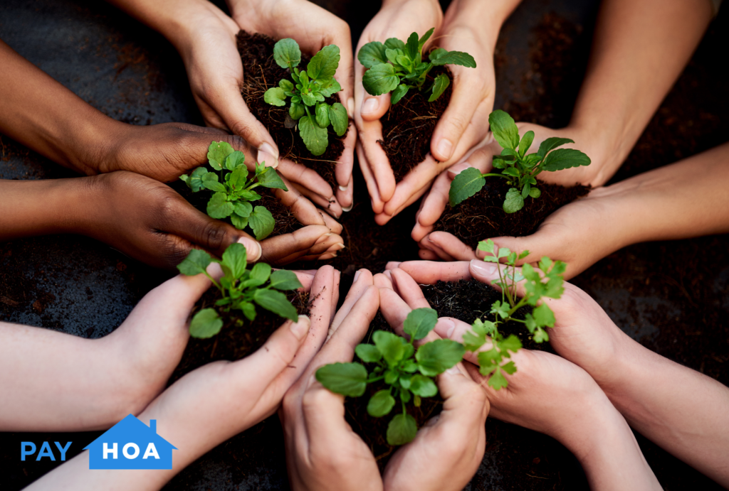 HOA management