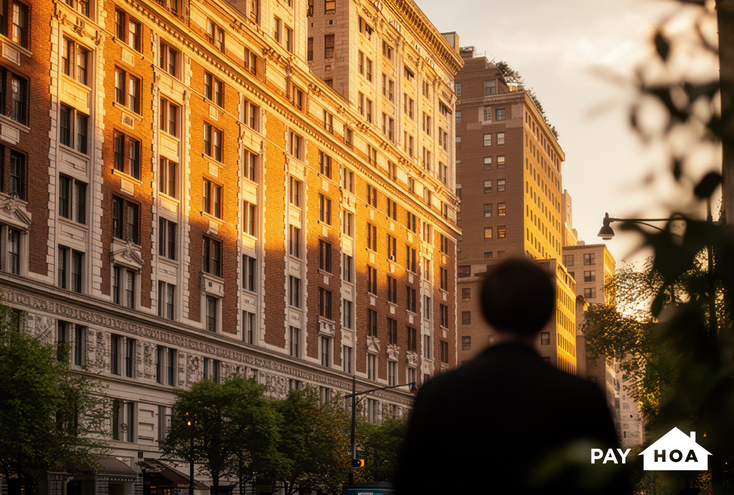 The guide to New York COA laws