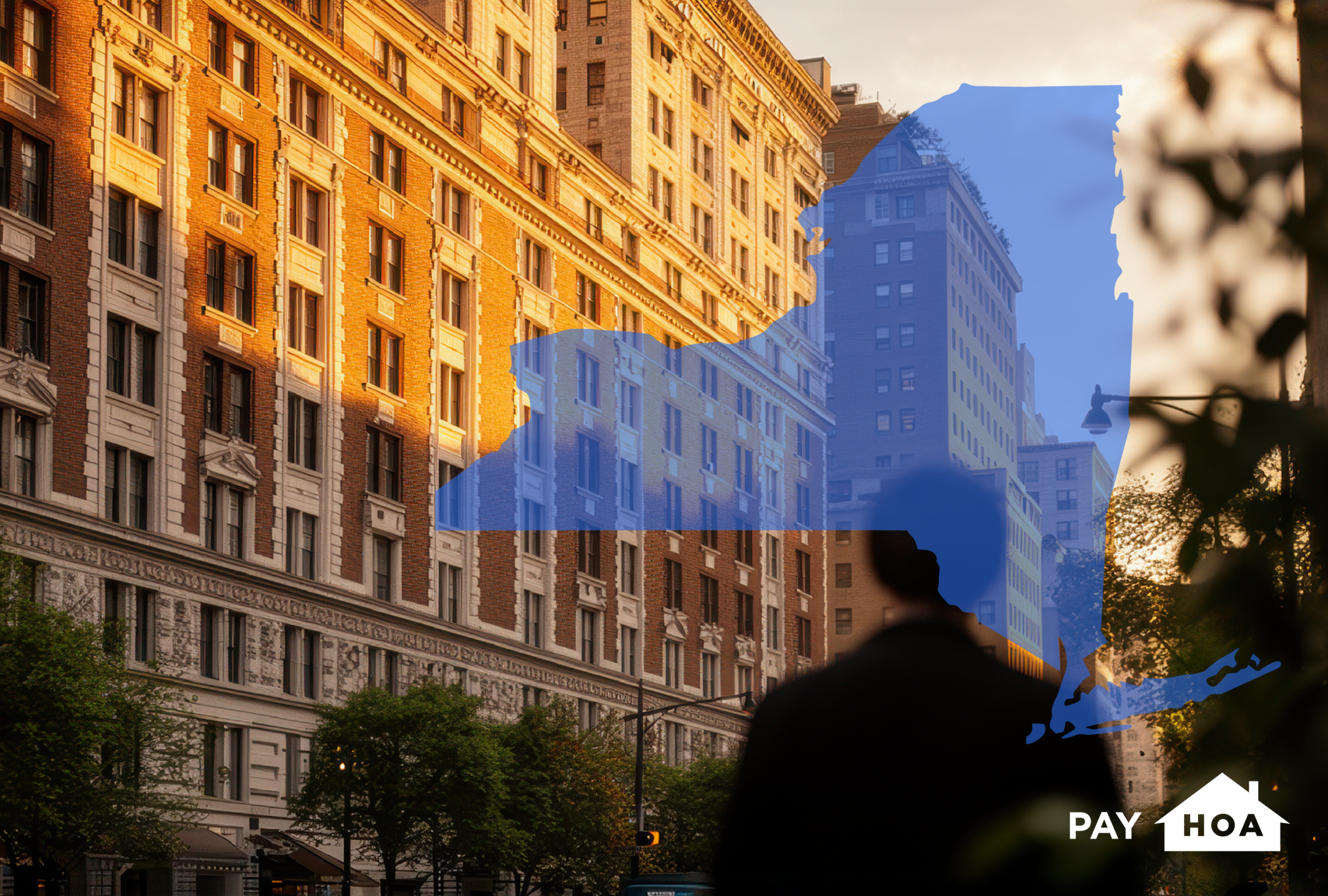 The self-managed board's guide to New York COA laws